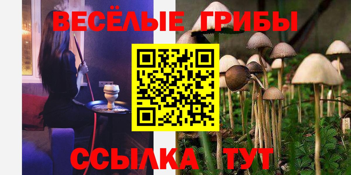 Великий Устюг  Псилоцибиновые грибы Psilocybine cubensis  Вход с VPN 