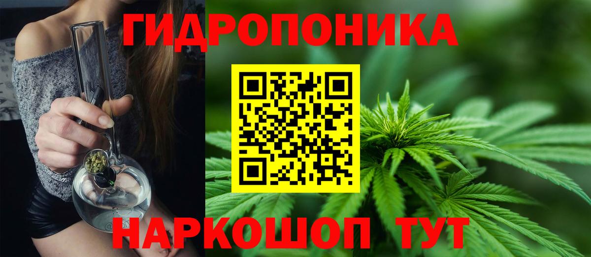 Бошки марихуана Bruce Banner  Шишки марихуана Amnesia  МАРИХУАНА тримм  Вход с VPN  Великий Устюг 